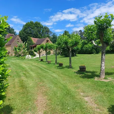 Les Platanes A Sarlat-la-Canéda