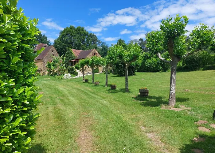Les Platanes à Sarlat